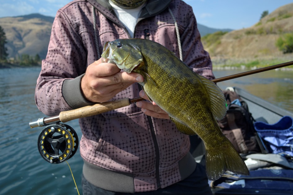 Bass Fishing in Idaho