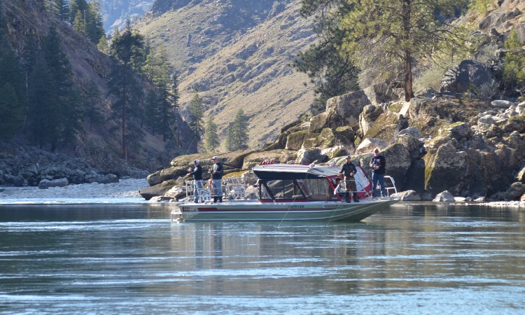 Idaho guided jet boat fishing for steelhead at mackay bar