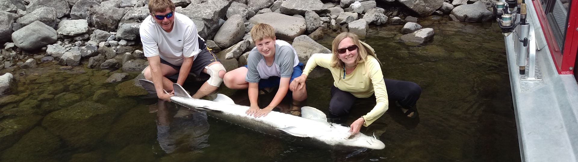 Snake River Sturgeon in hells canyon
